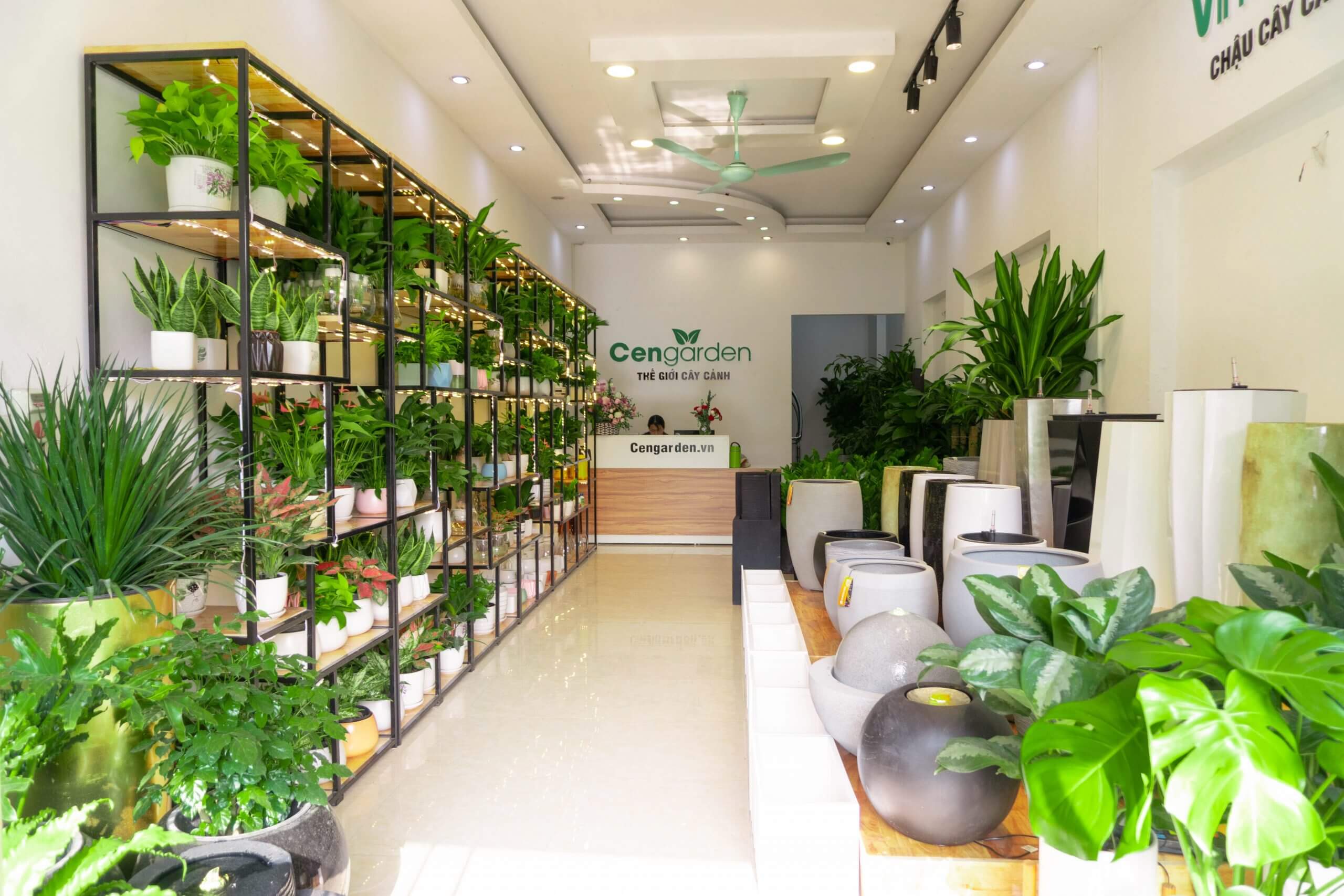 Vking Decor - đơn vị thiết kế cửa hàng bán cây cảnh lâu năm tại Đà Nẵng