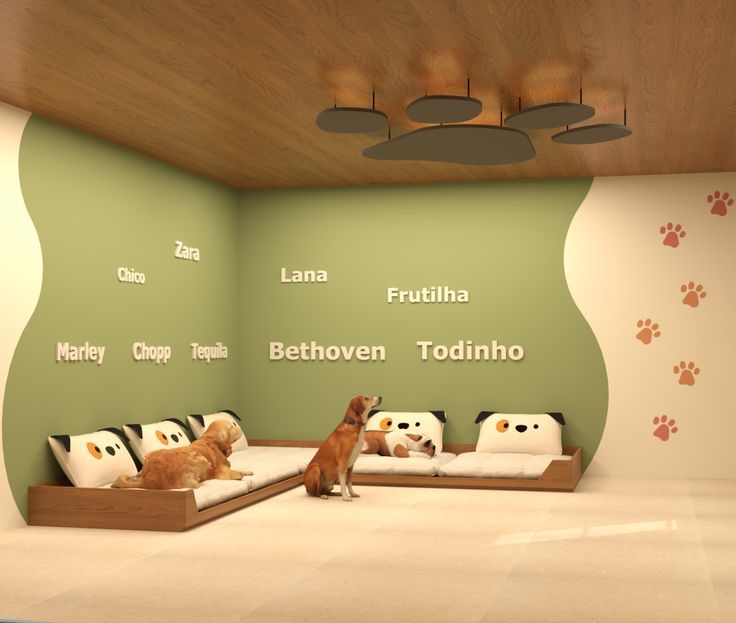 thiết kế spa chó mèo tại đà nẵng