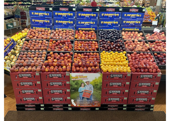 thiết kế cửa hàng hoa quả nhập khẩu tại đà nẵng