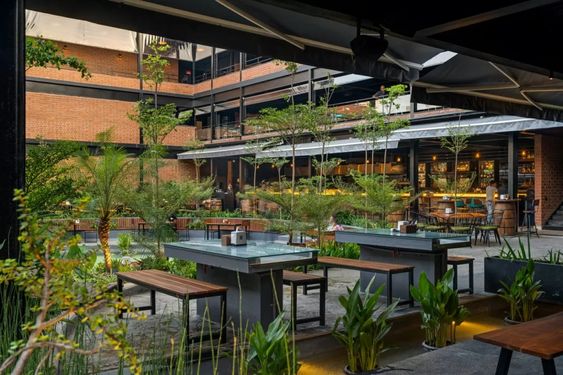 Thi công nội thất kết hợp cây xanh